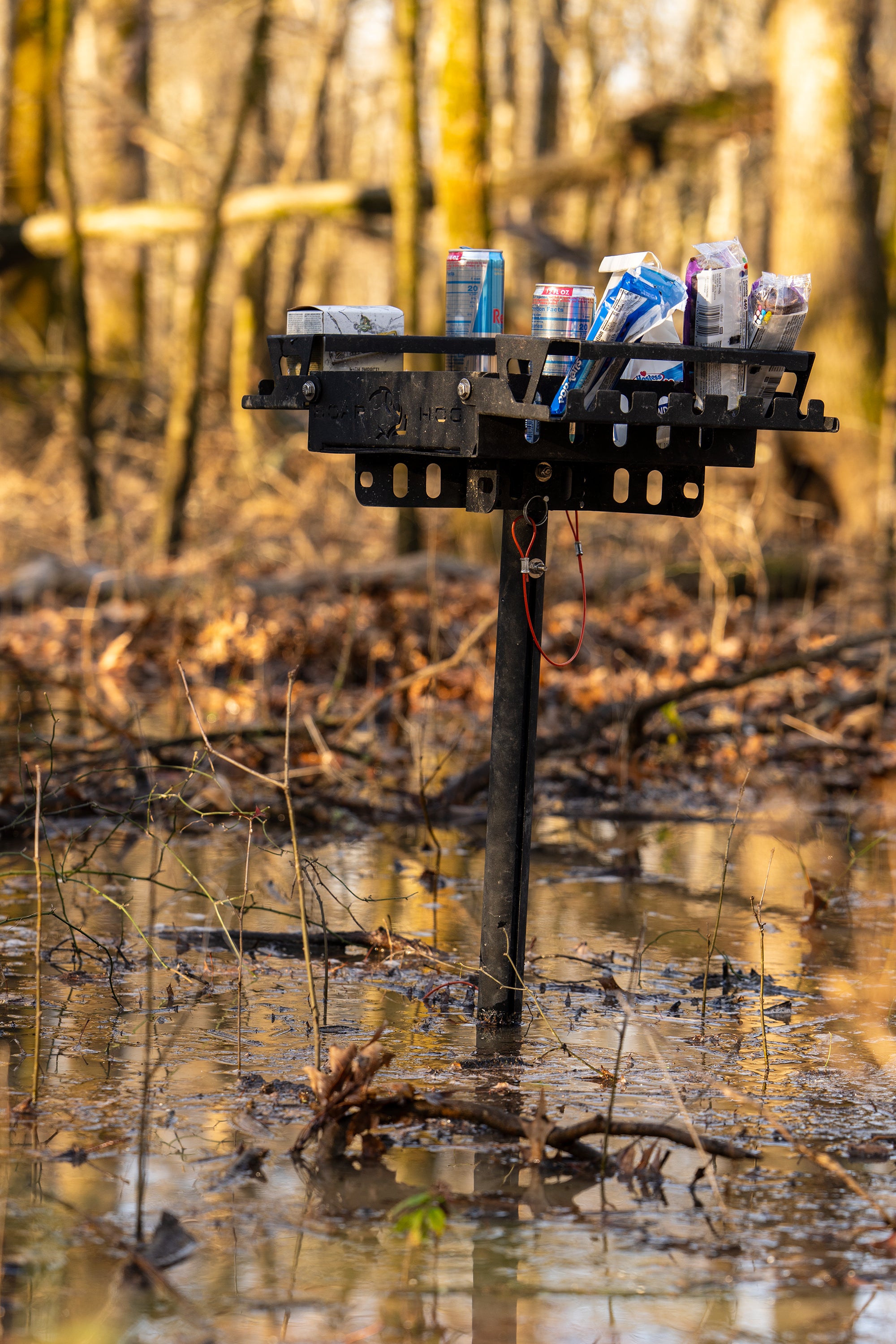 |Boar Hog| Hunt Stand