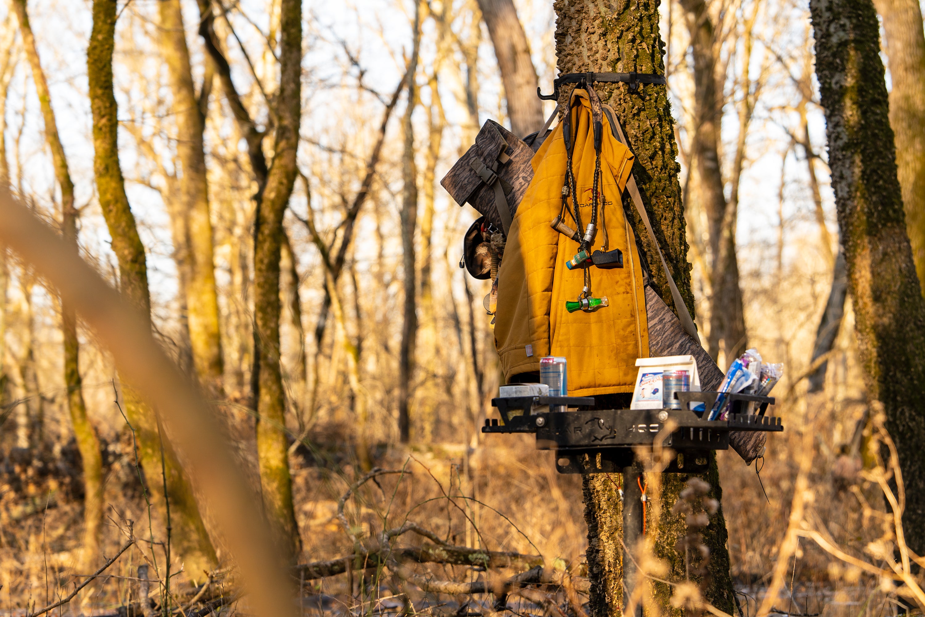 |Boar Hog| Hunt Stand